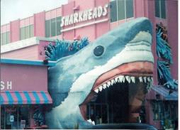 C:\Users\shaun\Documents\memory stick\New folder\New America\web America photos 1\Jaws -eat your heart out in Alabama!.jpg